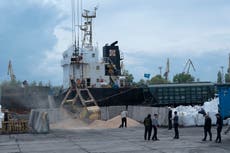 Why Russia pulling out of the Black Sea grain deal matters