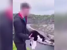 Police give update after video of boy throwing cat off quarry ledge shared online