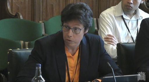 Cathryn Ross speaks at the Commons environment committee