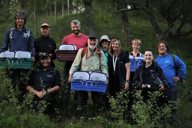 Conservationists gather at the Cairngorms National Park ready to release the caterpillars (PA)