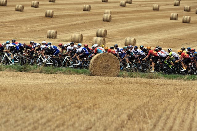 <p>The Tour de France is held annually over three weeks </p>