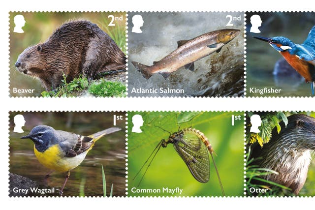 A set of 10 stamps has been released by the Royal Mail, celebrating many of the creatures that inhabit the UK’s rivers and streams (Royal Mail/PA)