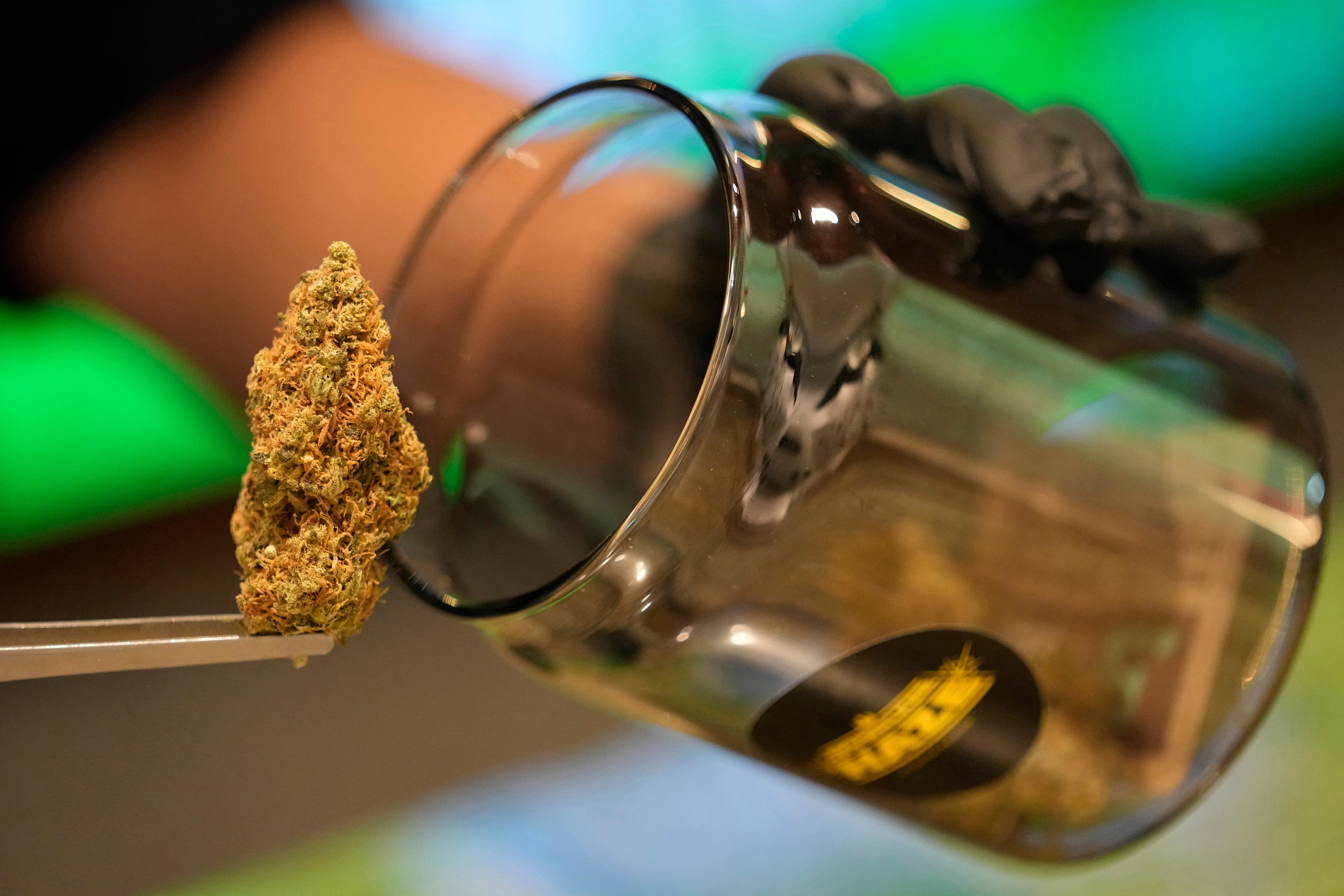 Thailand Marijuana Tourism