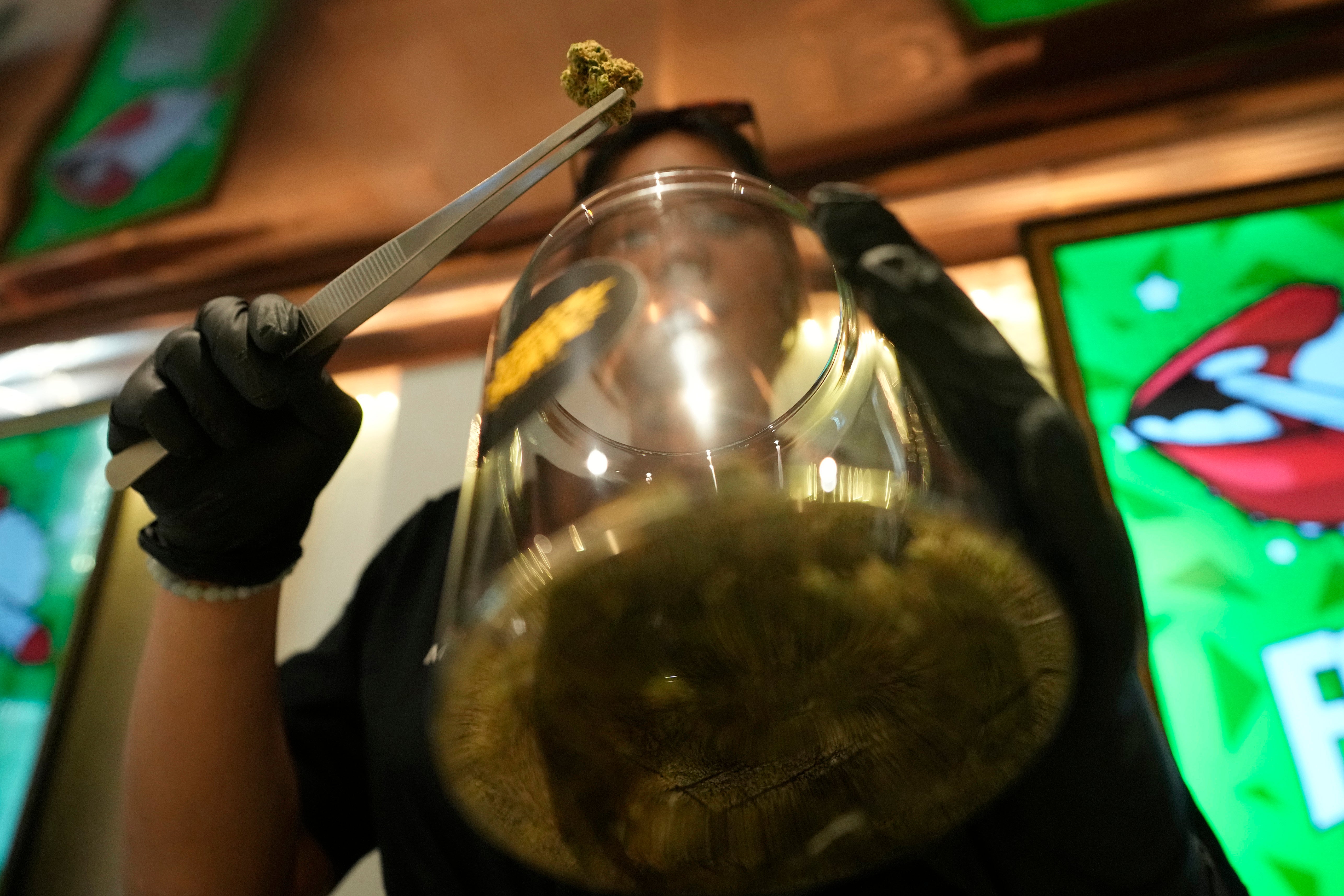 Thailand Marijuana Tourism