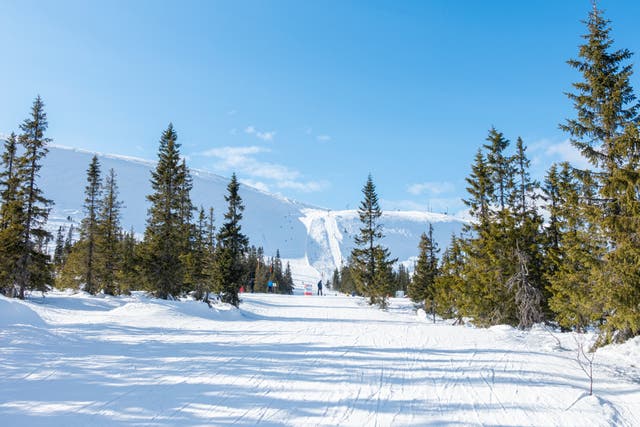 <p>Trysil is the country’s largest ski centre, with 69 slopes and 32 lifts </p>