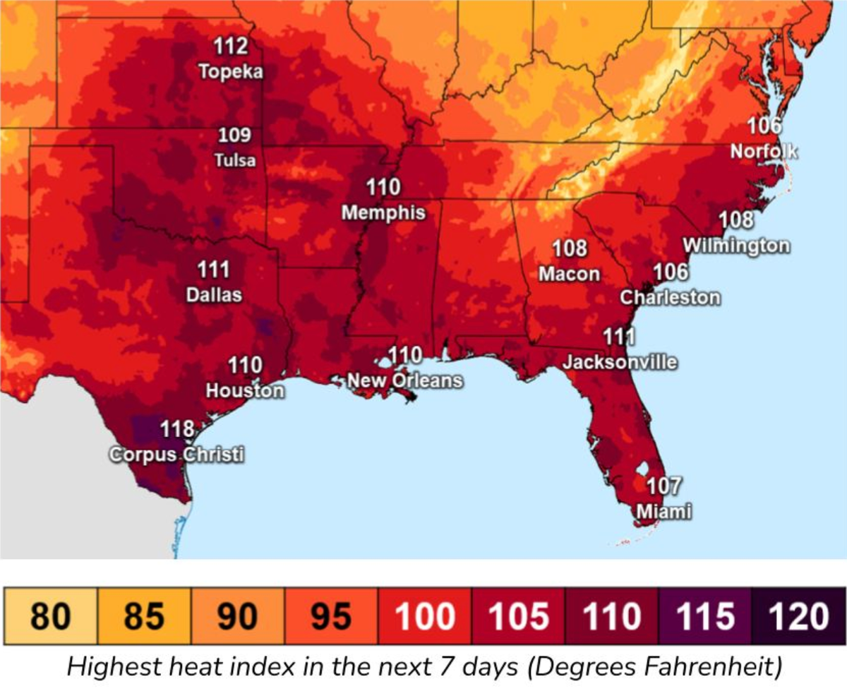 More than 100 million Americans under extreme heat alerts as relentless temperatures continue