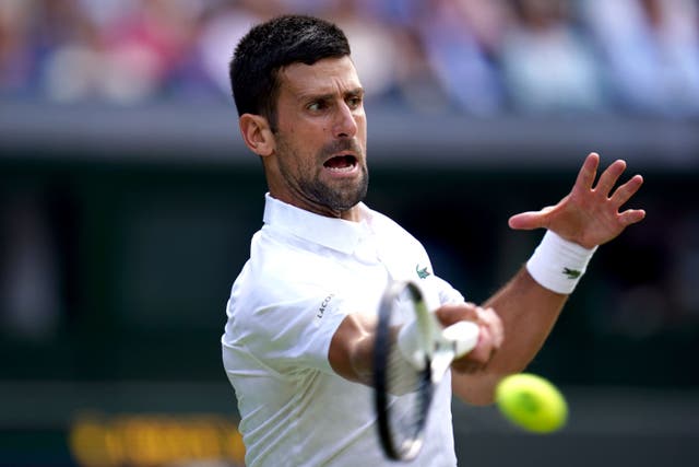 <p>Novak Djokovic will take on Jannik Sinner in the Wimbledon semi-finals (John Walton/PA)</p>