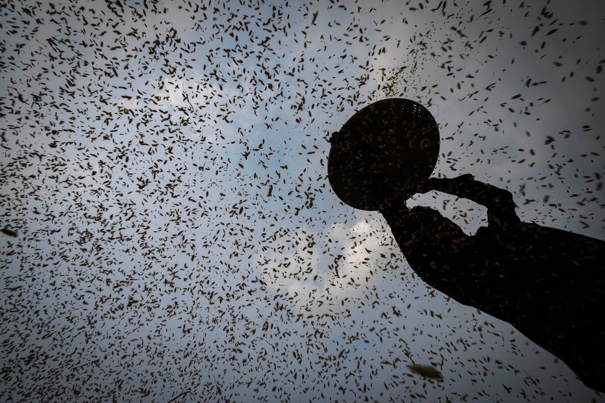 AP Week in Pictures: Asia