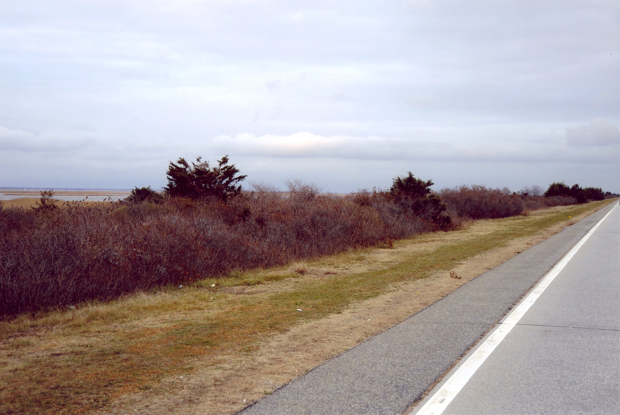 The site along Ocean Parkway where Maureen Brainard-Barnes’ remains were found