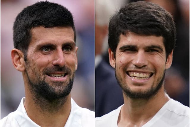 Novak Djokovic and Carlos Alcaraz will meet in the men’s singles final on Sunday (PA)