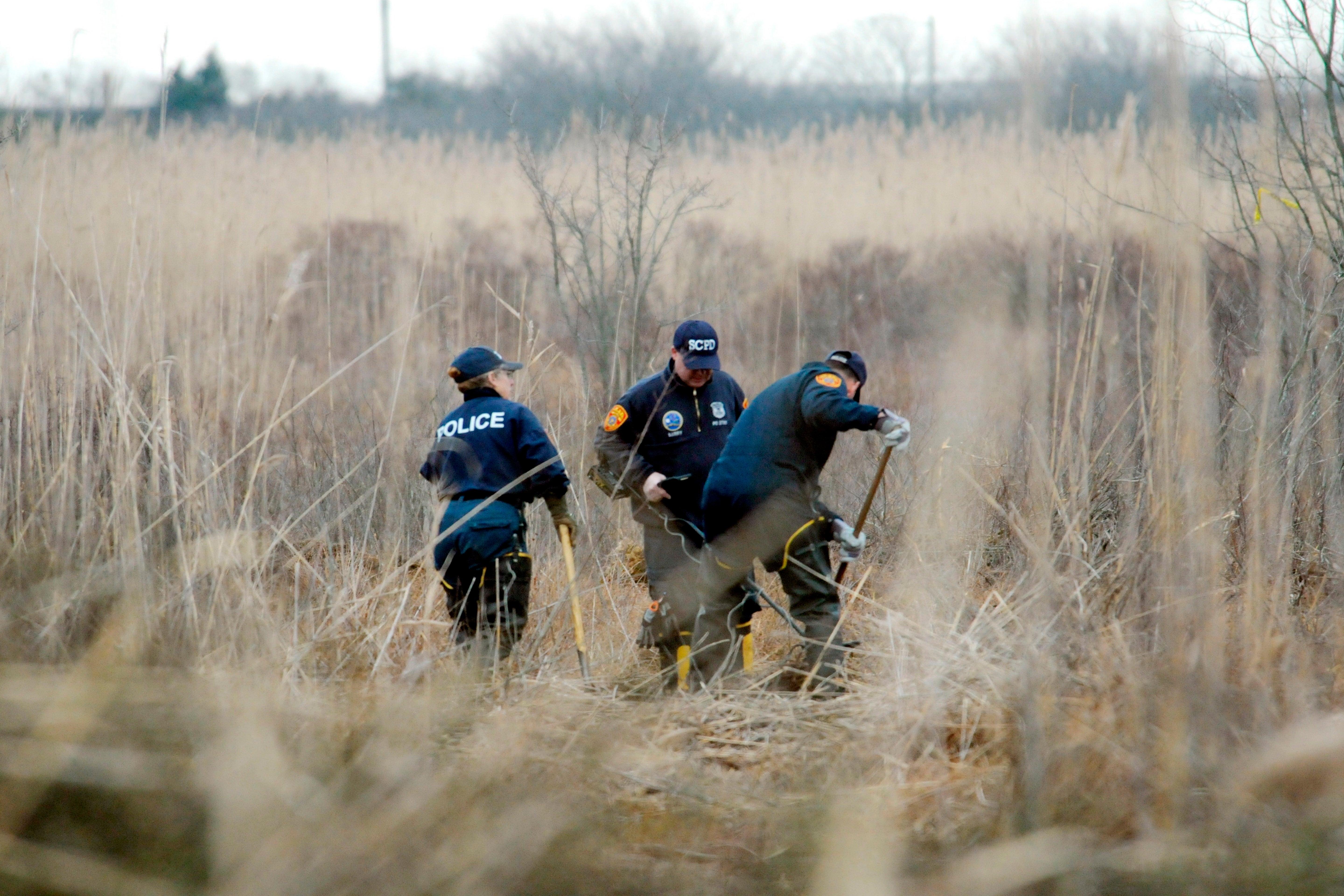 Crime scene investigators use metal detectors to search a marsh for the remains of Shannan Gilbert in December 2011