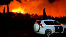 Europe heatwave 2023 – live: Forest fire destroys homes in Spain as blistering 40C heat grips continent