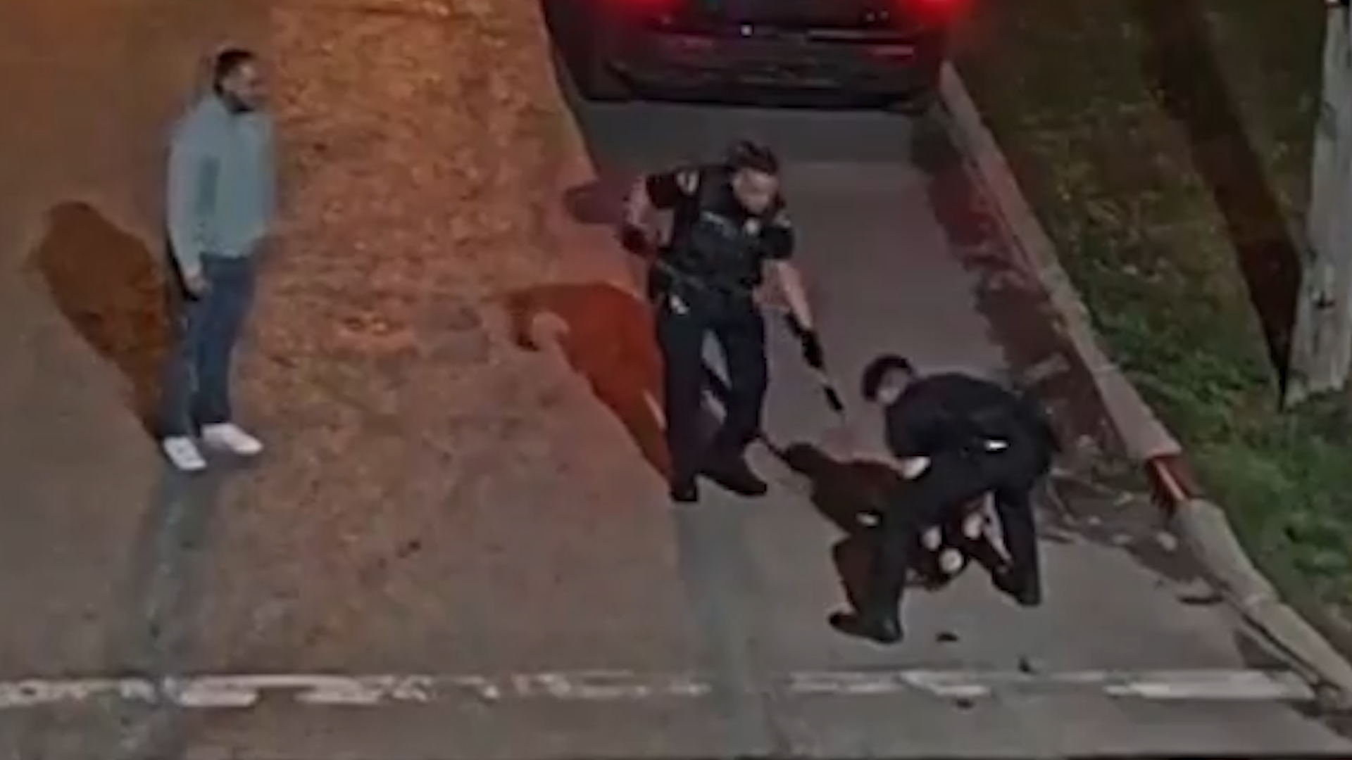 <p>Ohio police officers struggle to get mayonnaise jar off raccoon's head in CCTV footage</p>