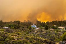 2,000 evacuated in La Palma wildfire in Spain's Canary Islands; official says blaze 'out of control'