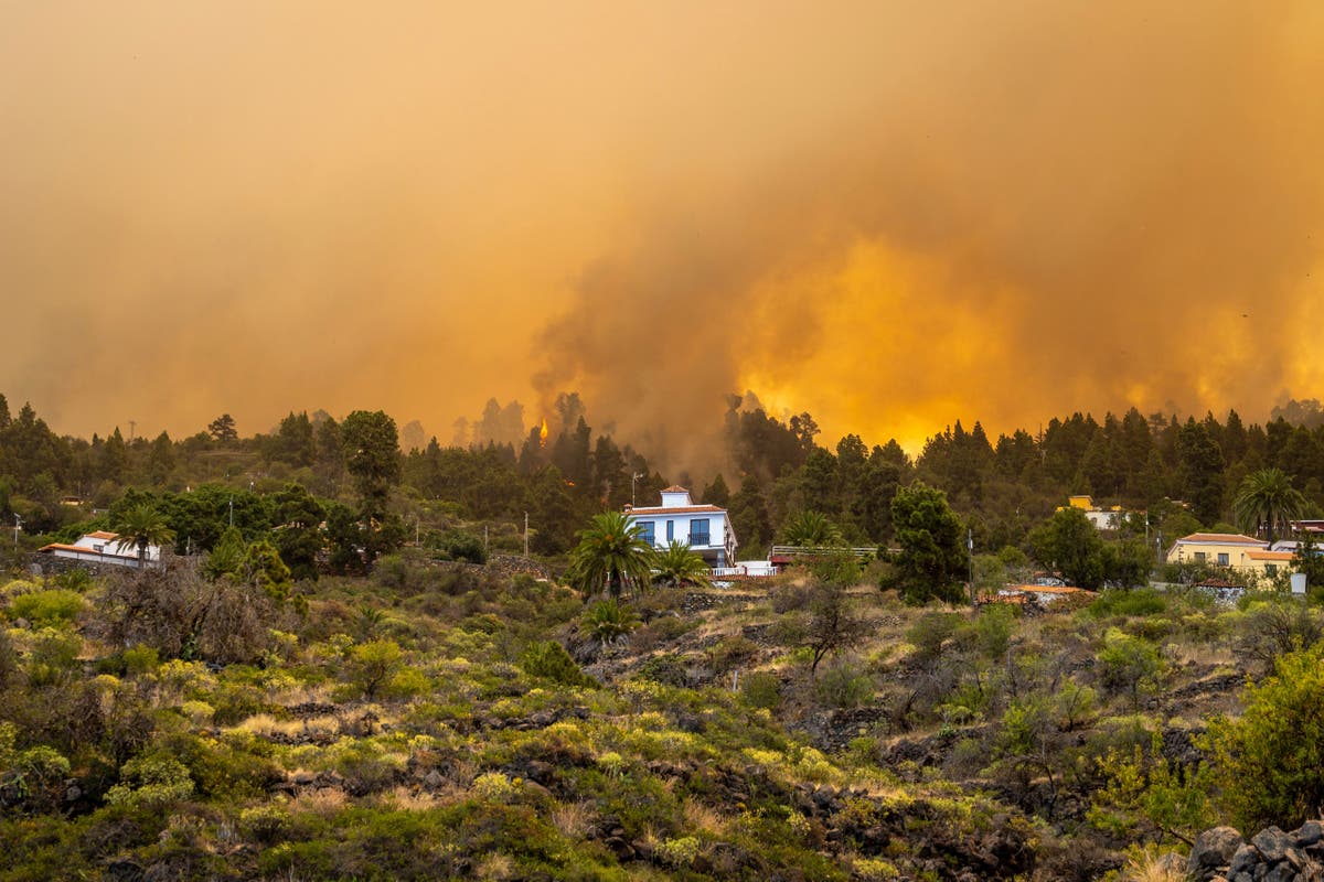 2.000 evacuados en el incendio forestal de La Palma en las Islas Canarias de España;  El incendio está ‘fuera de control’, dice funcionario