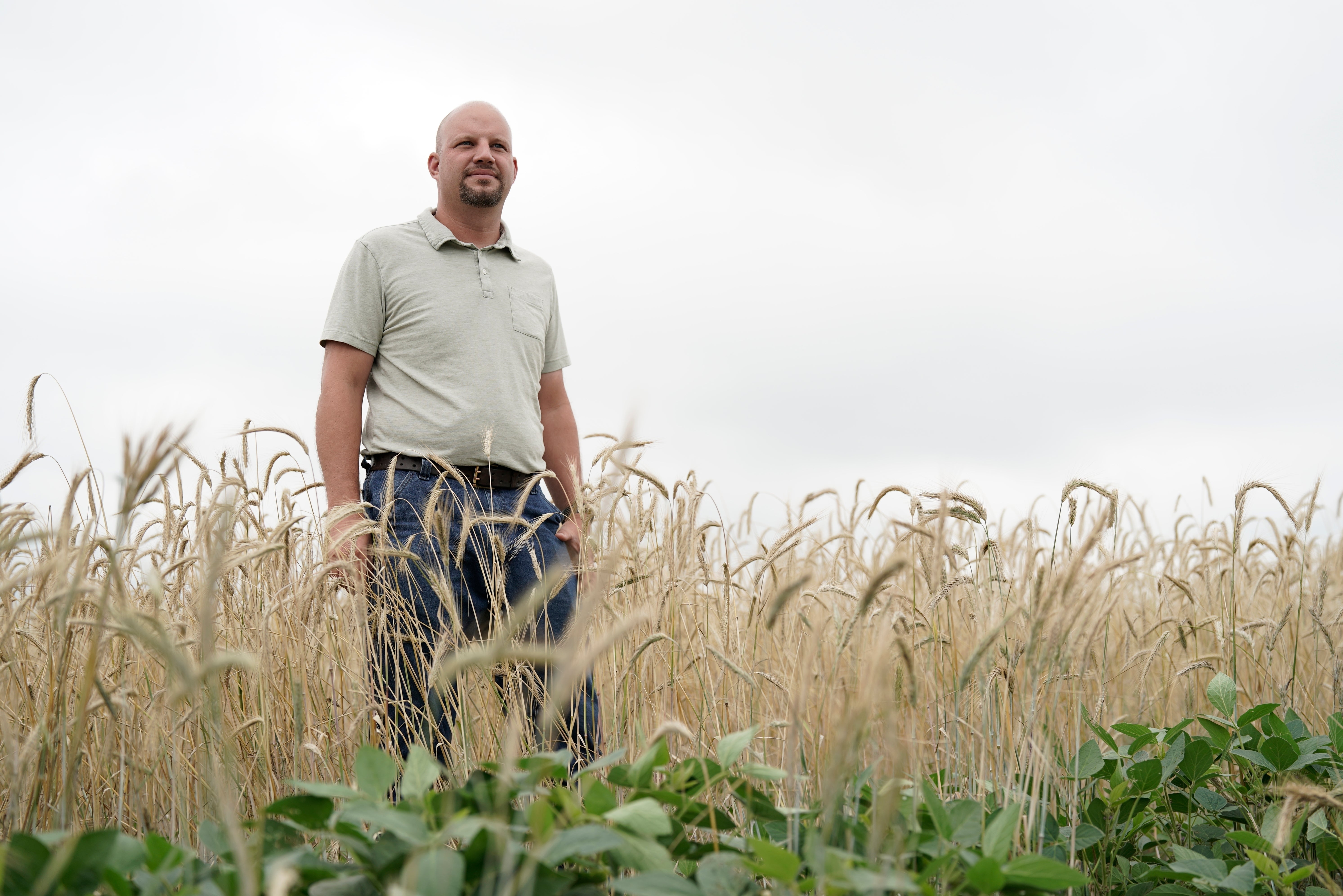 Climate Soil and Carbon