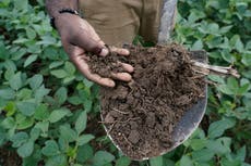 Farm fields don't just feed us. They store carbon. But a big question is how much