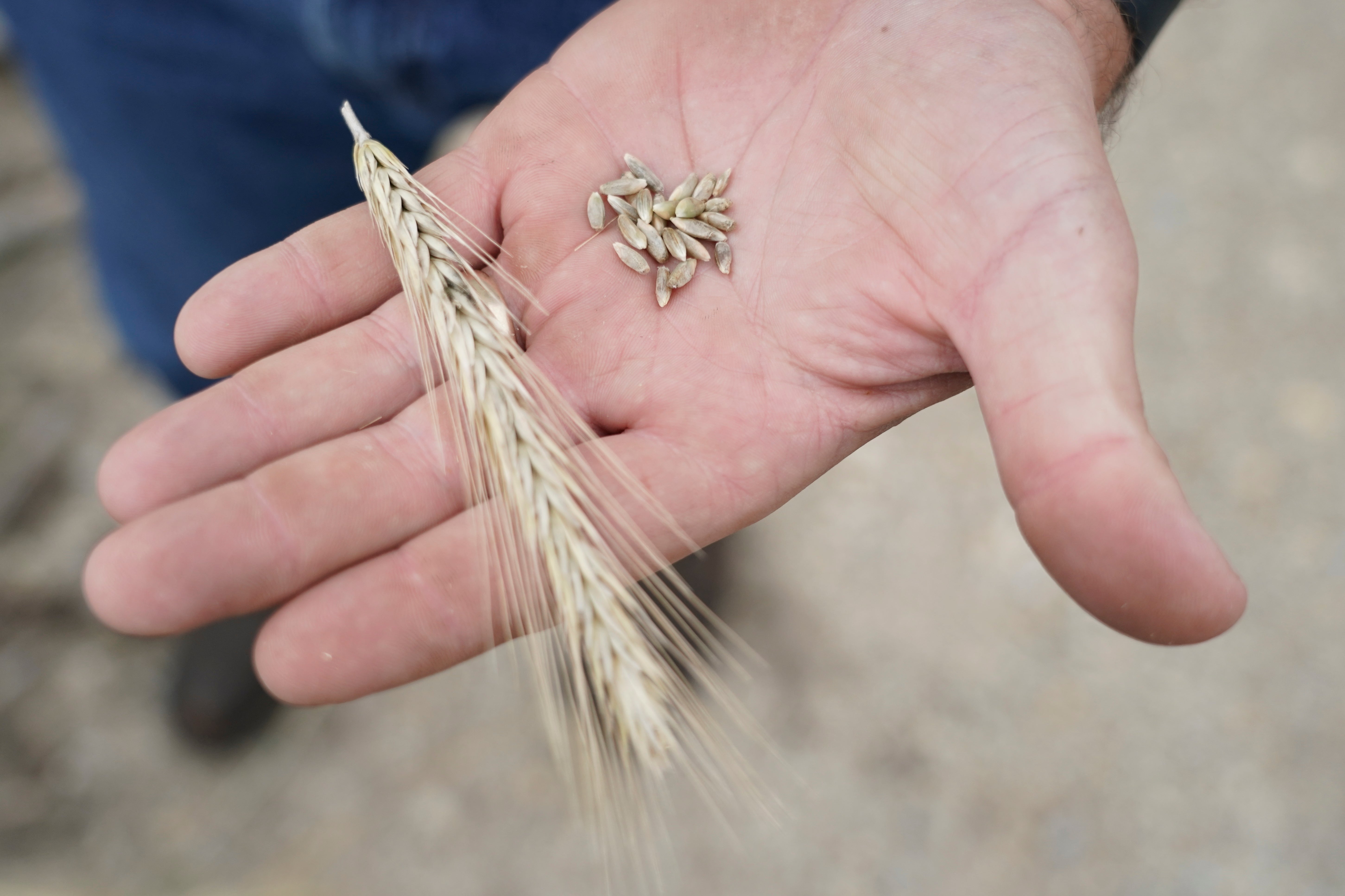 Climate Soil and Carbon