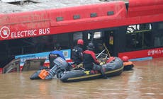 Rescuers pull out eight bodies from flooded South Korea tunnel as death toll rises to 35