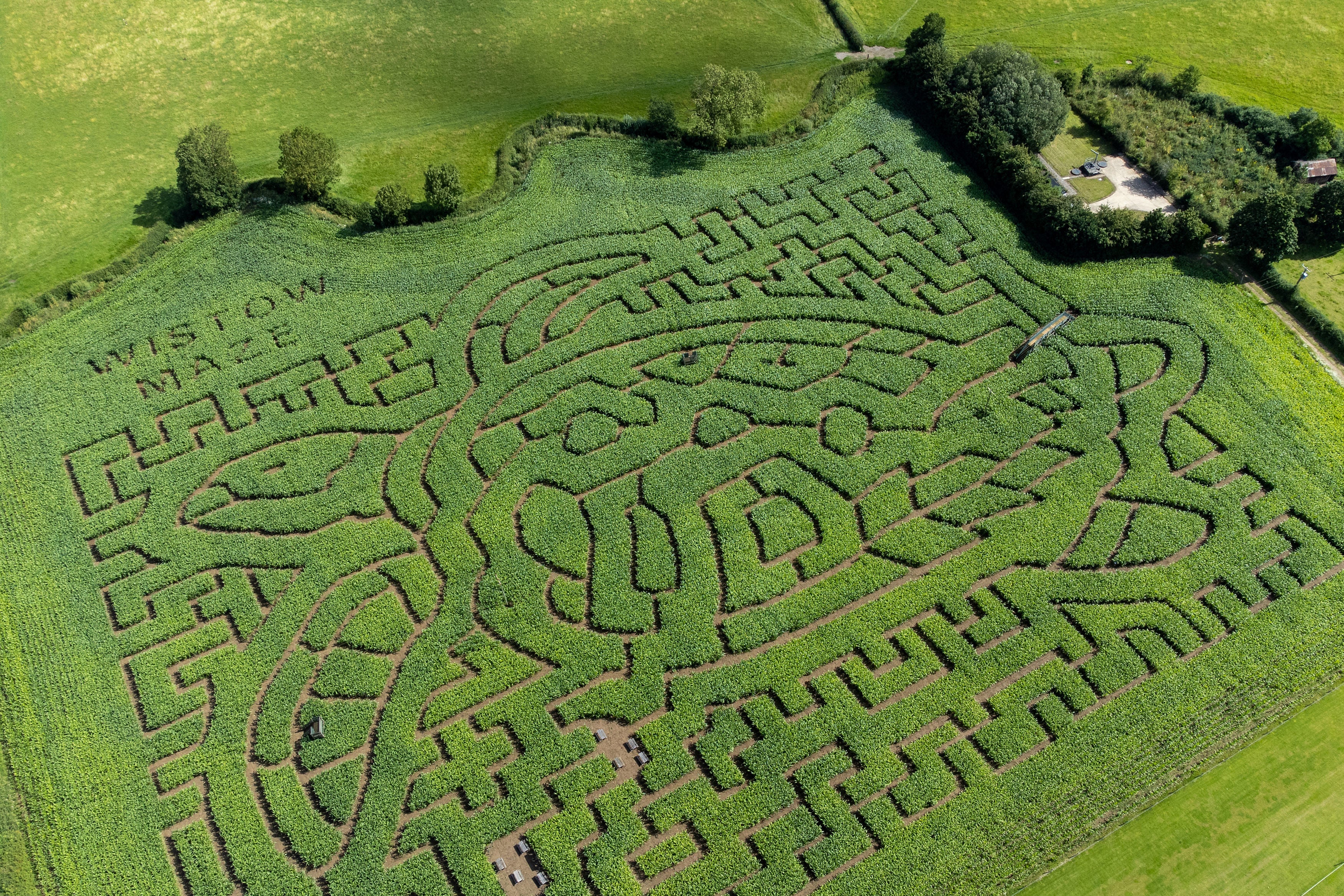 Wistow Maze in Wistow, Leicestershire, which this year has been designed to depict a Green Sea Turtle, to raise awareness of endangered marine animals caused by climate change and other damaging human activity. The eight-acre maize maze featuring three miles of pathways, is created using GPS satellite technology and opens to the public on July 17.