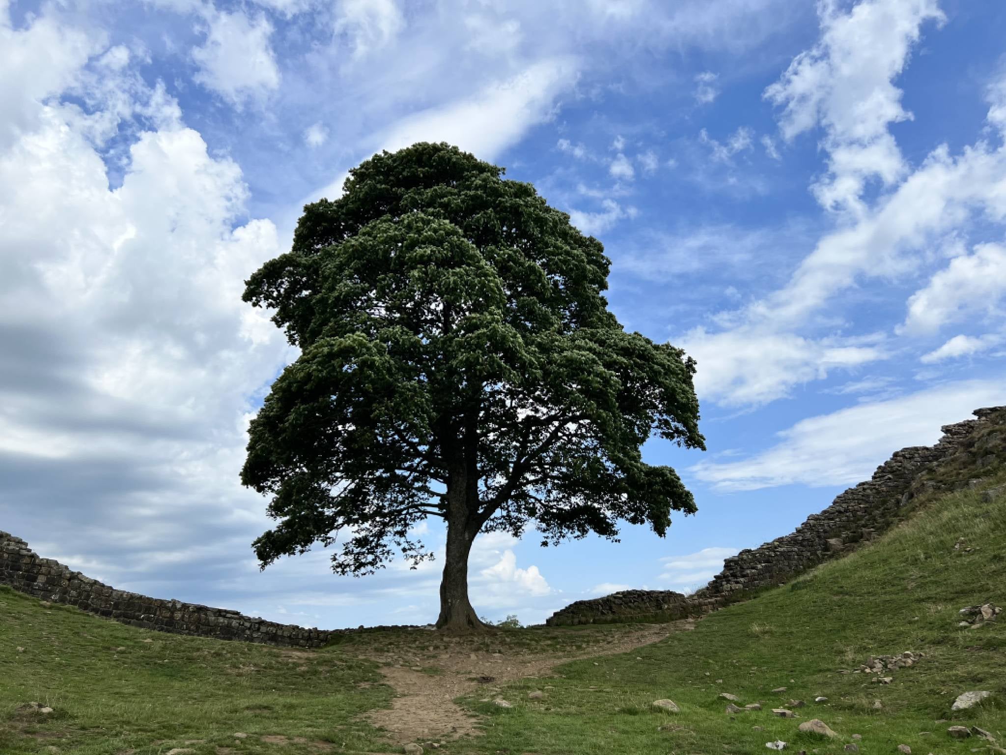 Famous Northumberland landmark Sycamore Gap is half an hour’s drive from the hut