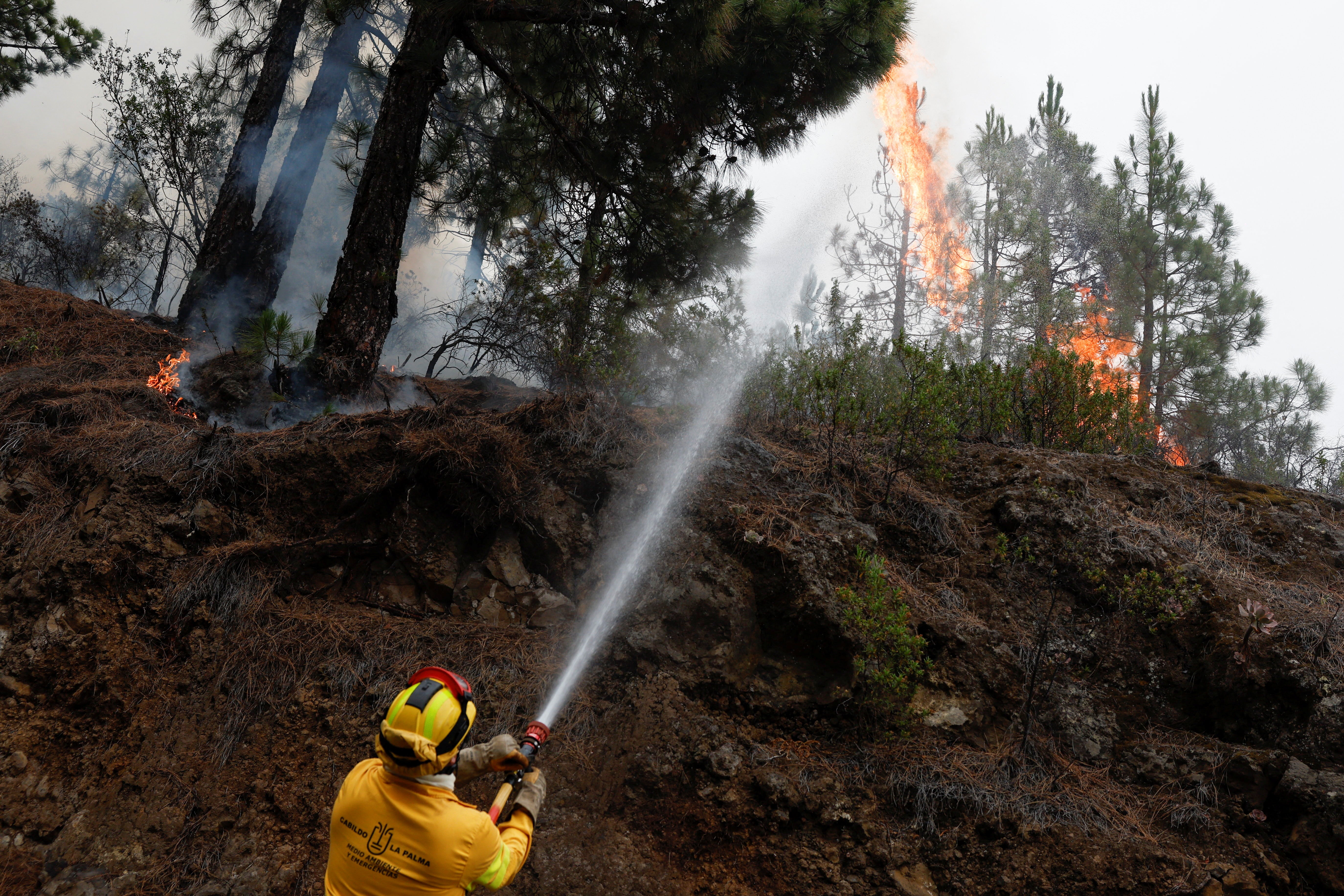 A forest firefighter works to extinguish the Tijarafe forest fire on the Canary Island of La Palma, Spain as the hot weather throughout the Mediterranean region could continue for weeks