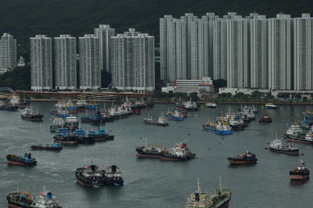 <p>Boats are parked at a typhoon shelter in Tseun Wan as a precaution for the approaching Typhoon Talim in Hong Kong on 16 July 2023</p>