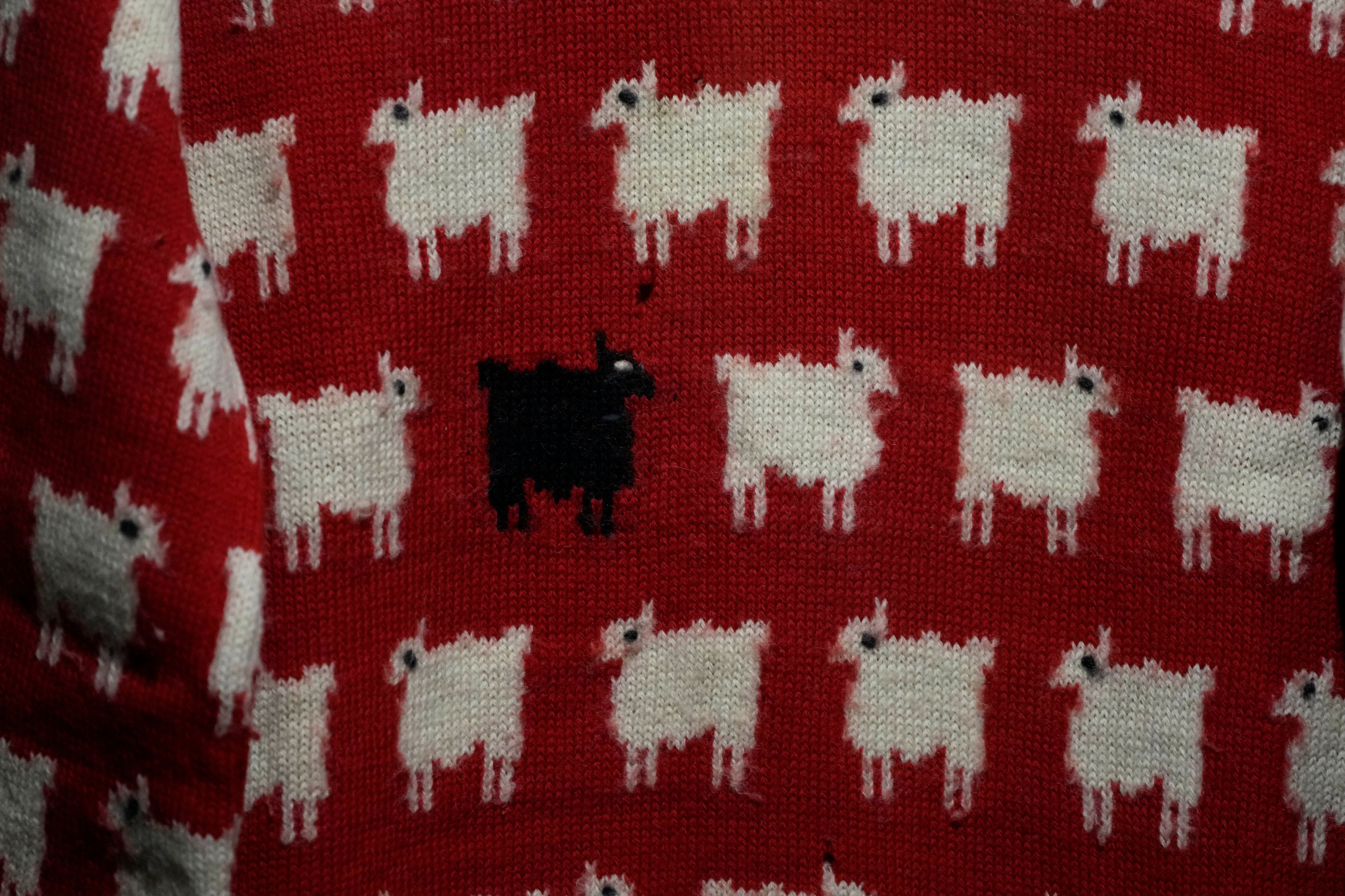 Princess diana sheep sweater for sale best sale