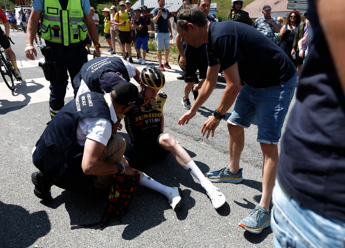 Selfie-seeking Tour de France fans warned after causing horror crash