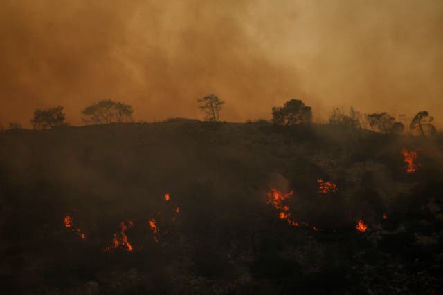 <p>Greece Wildfires</p>