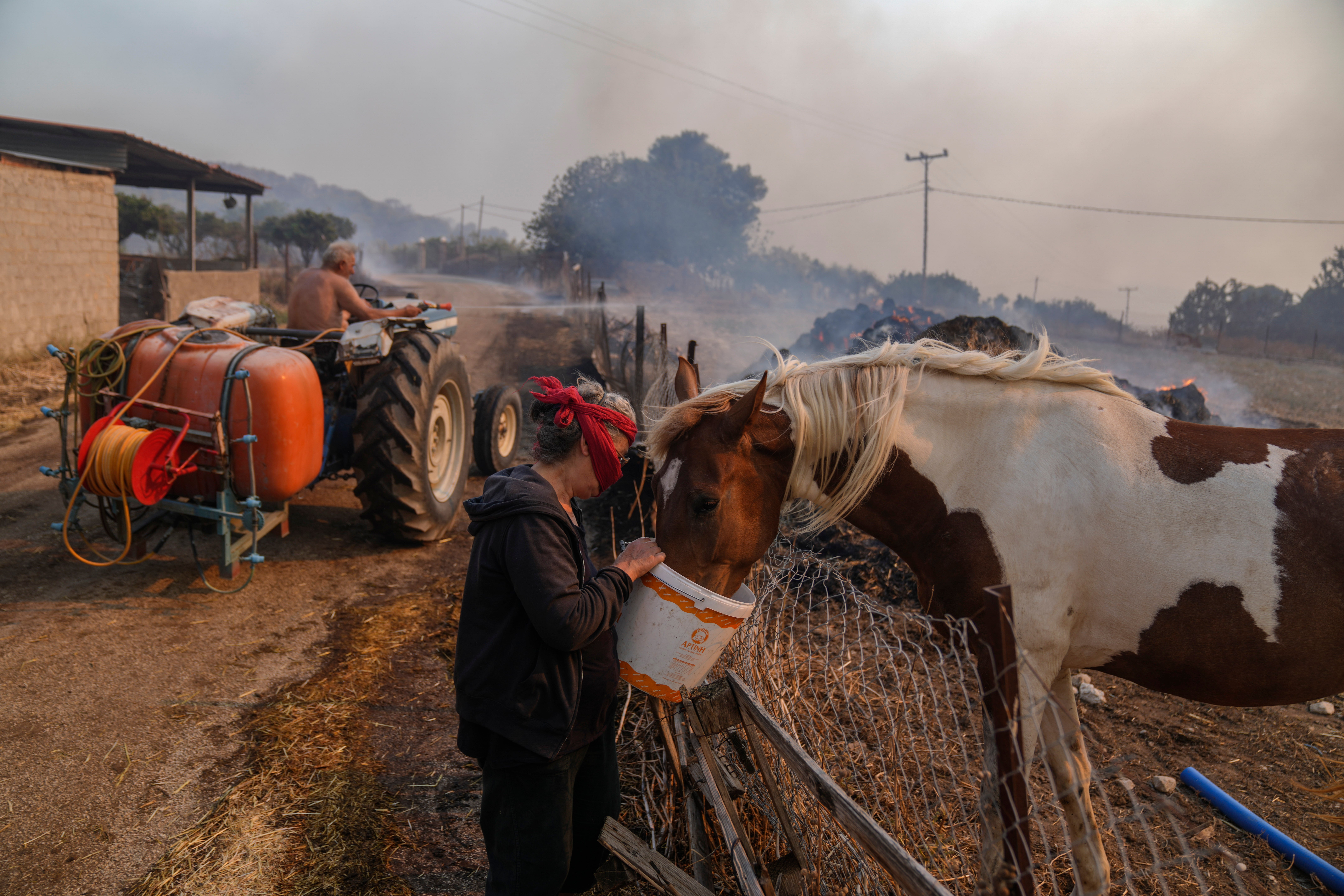 A woman gives water to her horse as her husband on a tractor tries to extinguish the fire with a hose near Loutraki