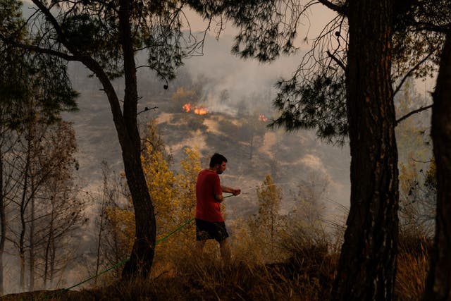 <p>Greece Wildfires</p>