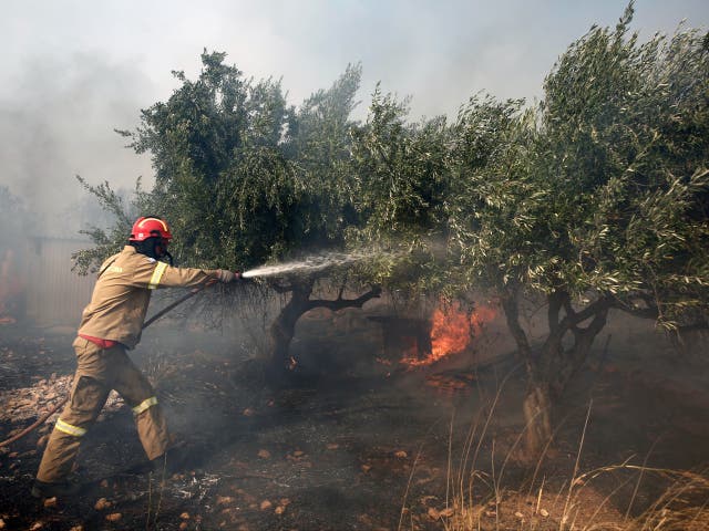 <p>A firefighter tries to extinguish a wildfire at Kouvaras in Attica</p>