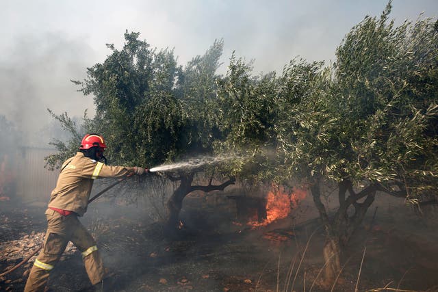 <p>A firefighter tries to extinguish a wildfire at Kouvaras in Attica</p>
