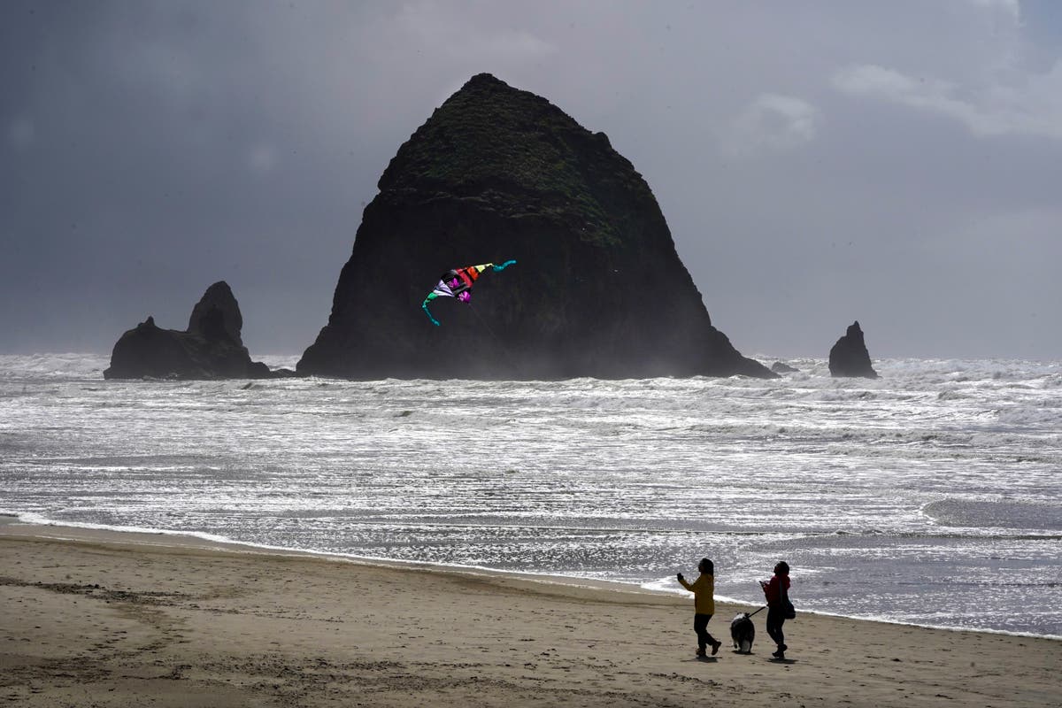 oregon-s-cannon-beach-reopens-after-cougar-sighting-on-iconic-coastal