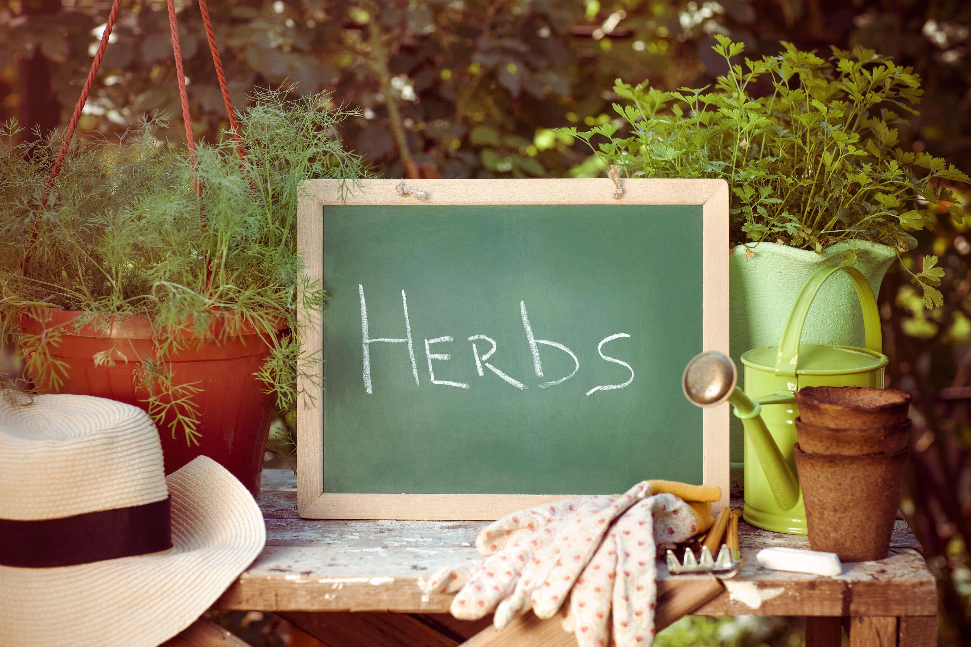Growing herbs can be an enriching experience (Alamy/PA)