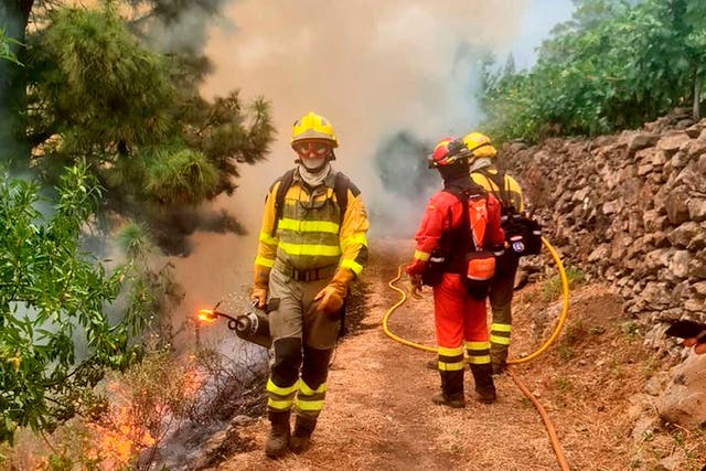 <p>Firefighters work to extinguish a forest fire in the Puntagorda area on the Canary island of La Palma, Spain amid blistering heat </p>
