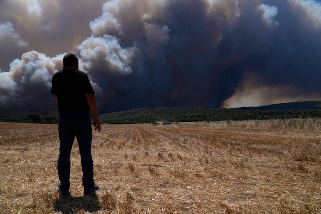 <p>In Greece, where a second heatwave is expected to hit on Thursday, three large wildfires burned outside Athens for a second day</p>