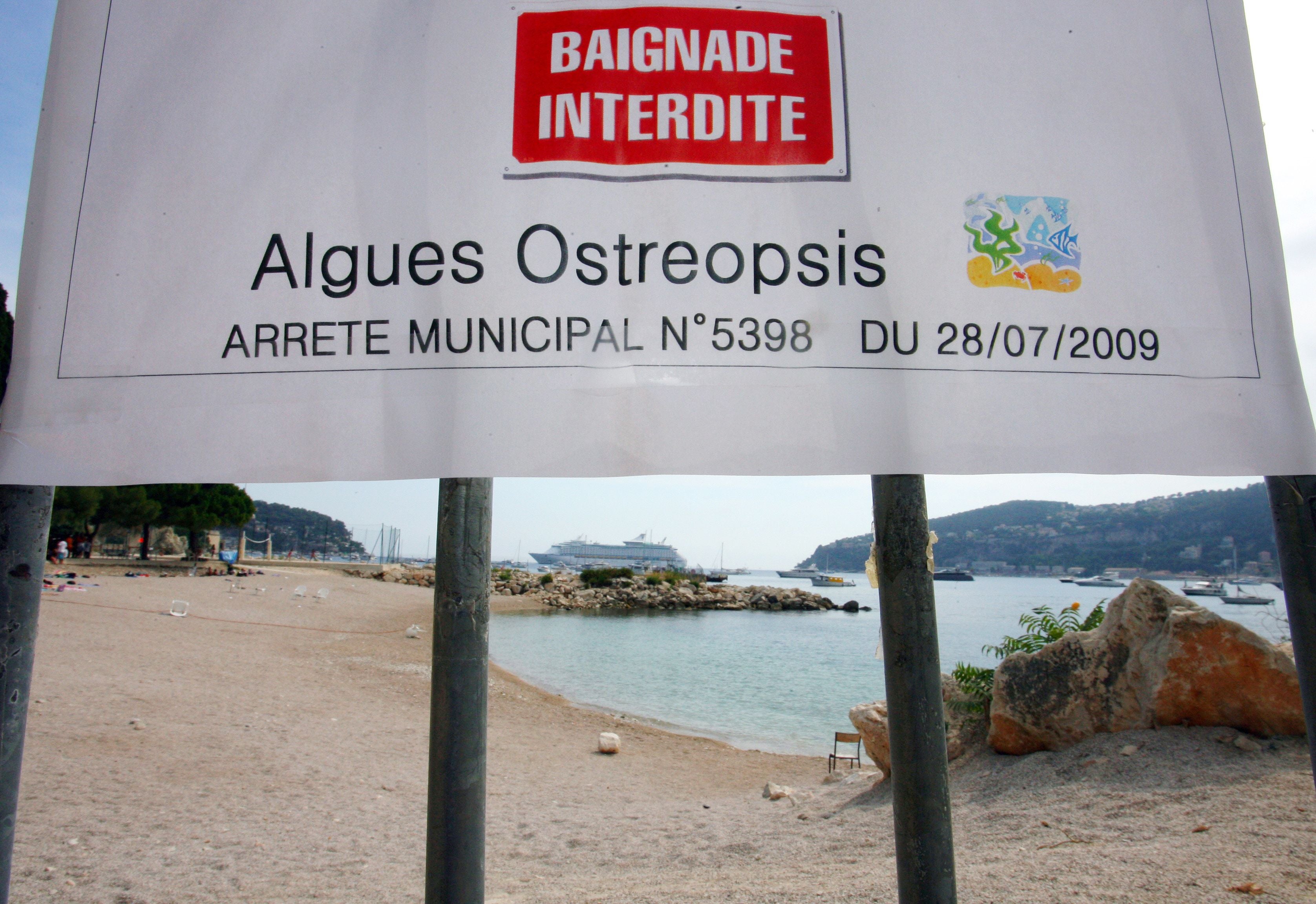 France banned swimming at beaches on the Cote d’Azur in 2009 due to the toxic algae
