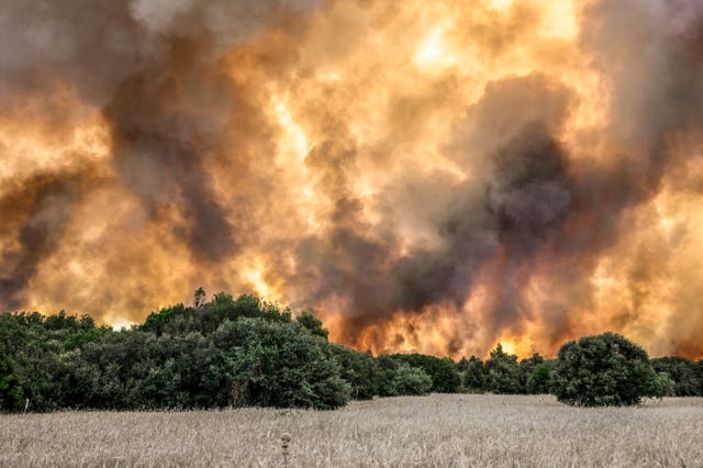 <p>Wild fires engulf the fields near the settlement of Pournari, in the area of Magoula, some 25km southwest of the Greek capital Athens on July 18, 2023</p>