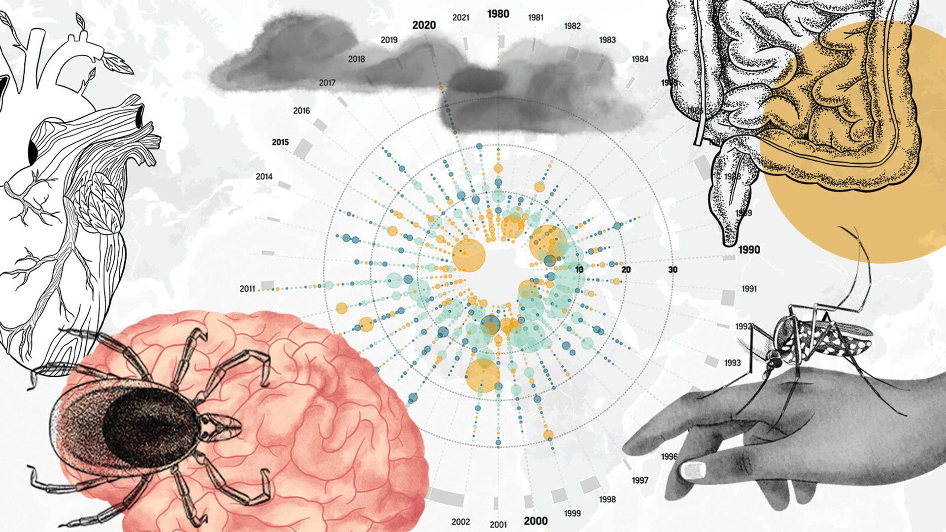 Soccer position could influence risk of brain disease, Science