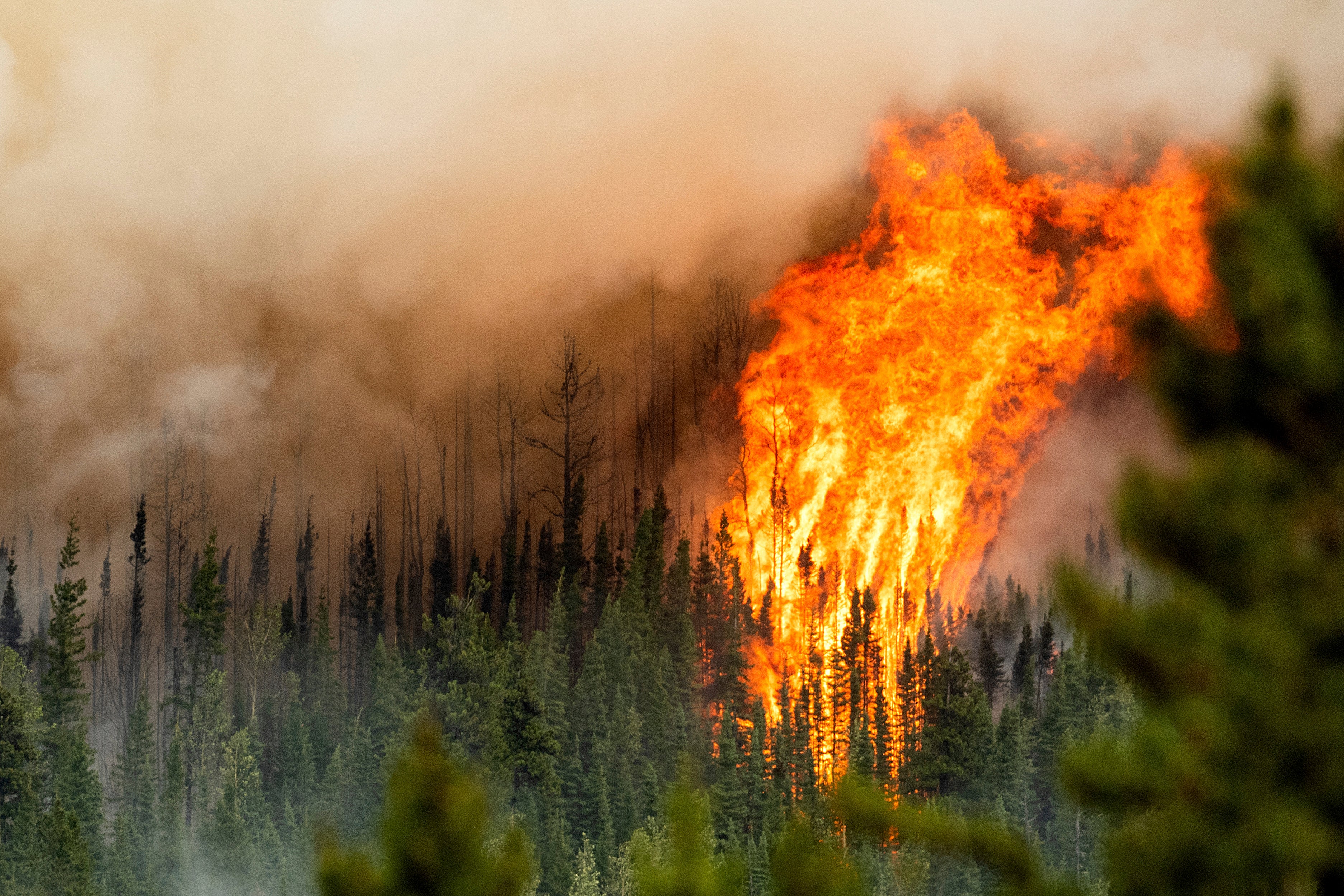 Flames from the Donnie Creek wildfire burn along a ridge top north of Fort St. John, British Columbia, Sunday, July 2, 2023.