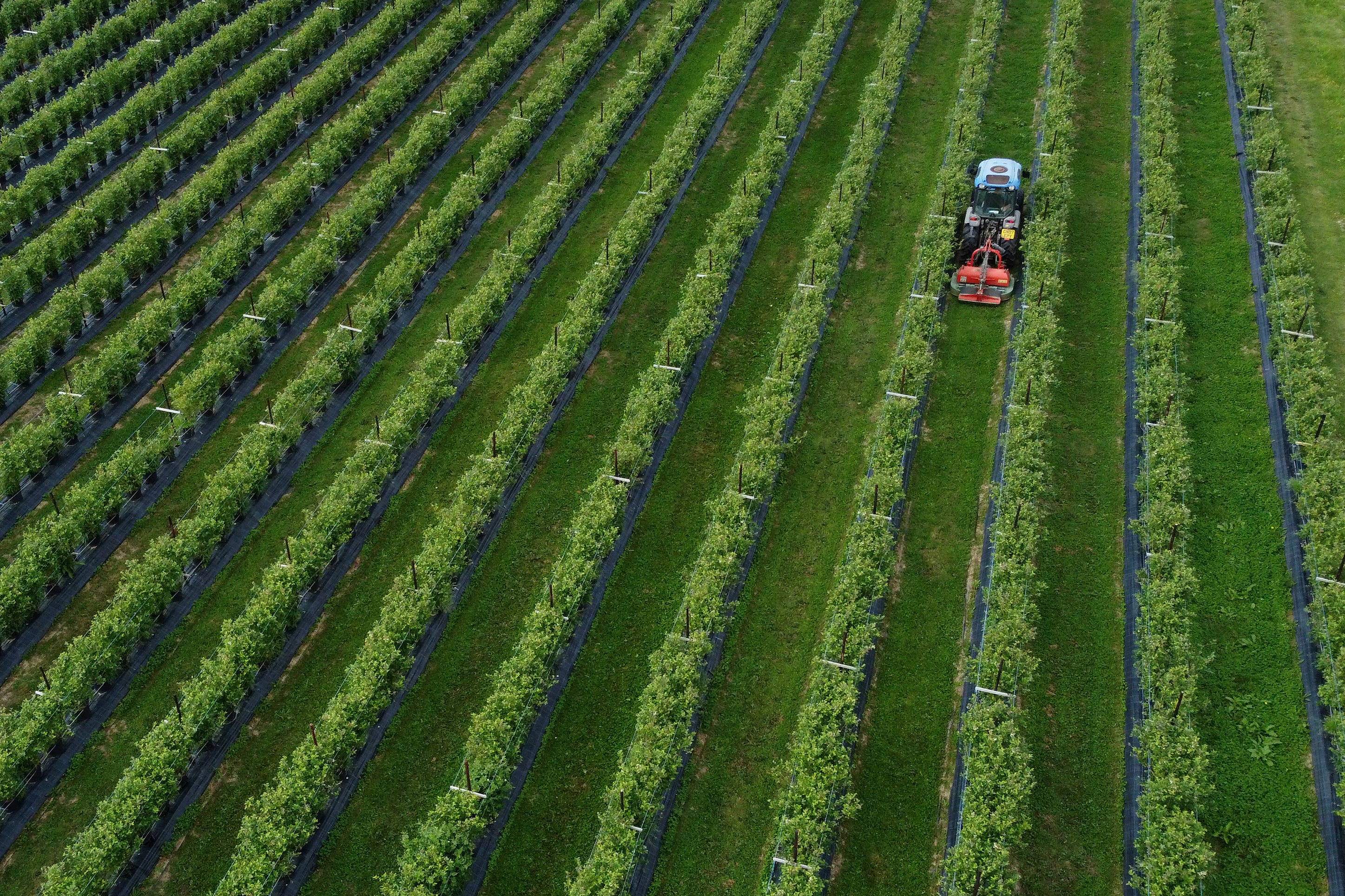 Fertiliser prices have soared over recent years. (Gareth Fuller/PA)