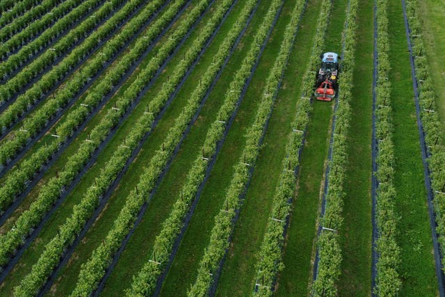 Fertiliser prices have soared over recent years. (Gareth Fuller/PA)