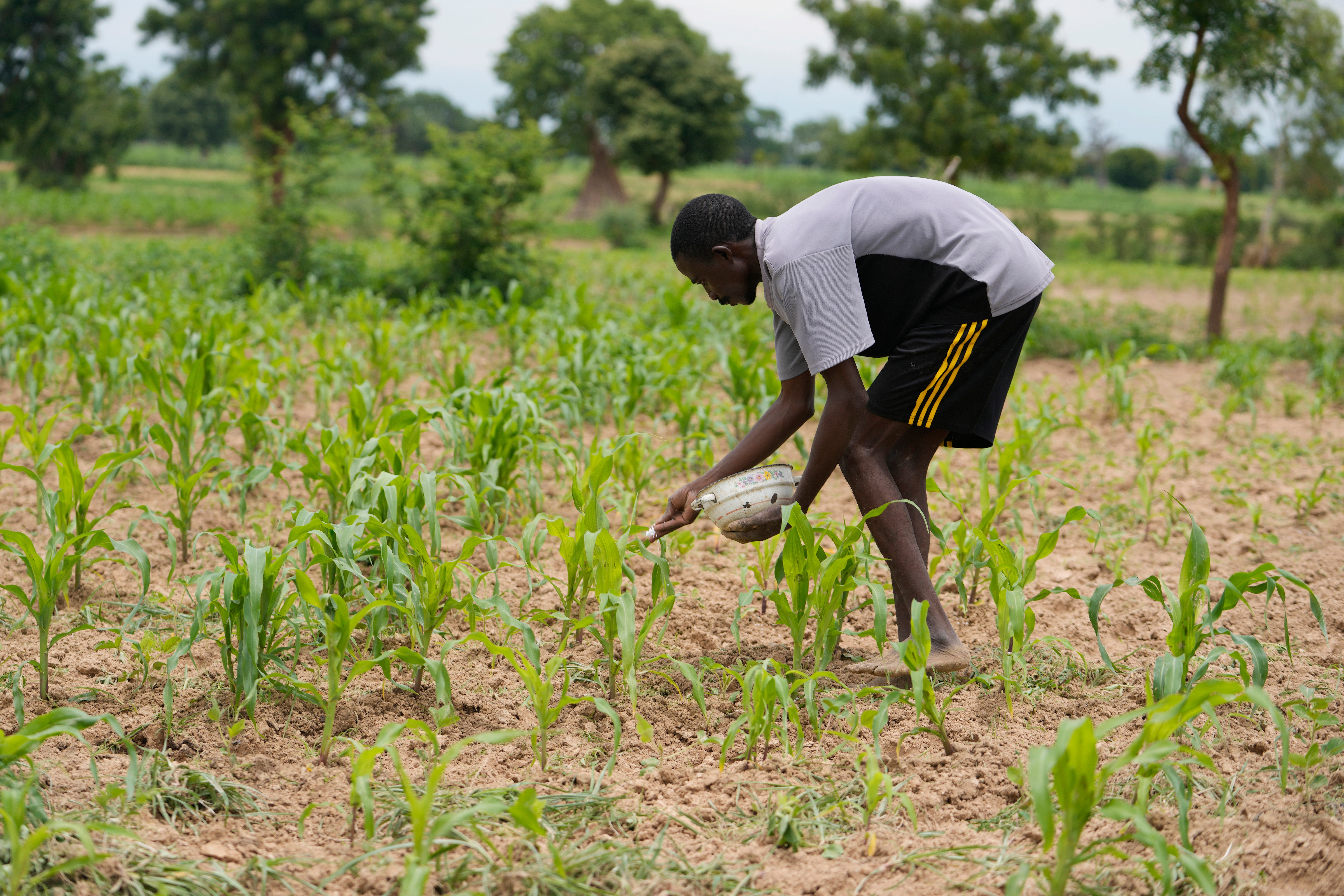 Nigeria Climate Food Security