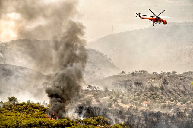 <p>A firefighting helicopter drops water as a wildfire hits at Panorama settlement near Agioi Theodori, some 70 kms west of Athens on Tuesday </p>