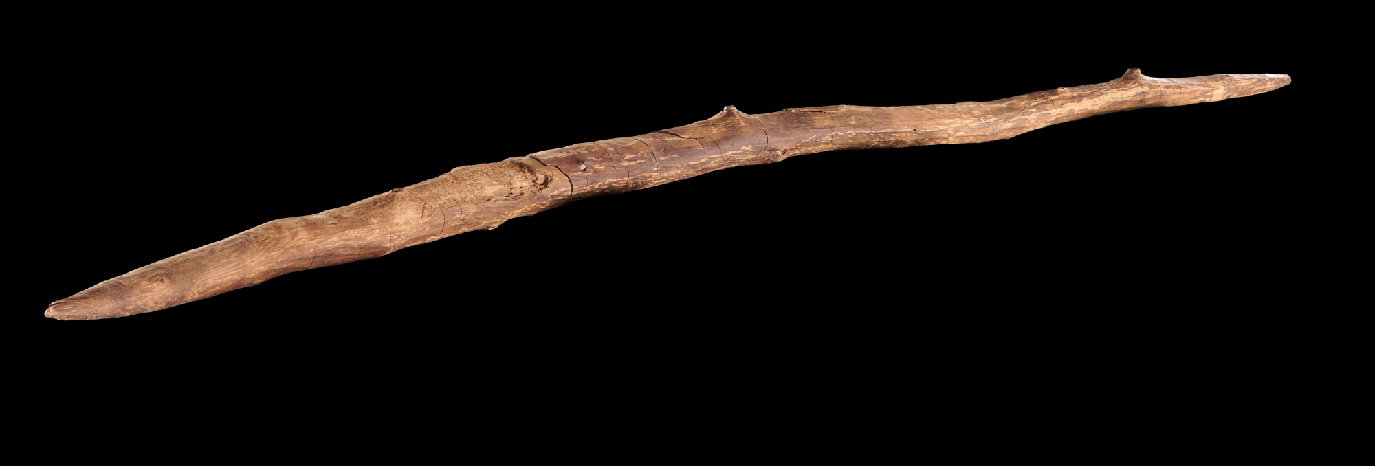 Technological secrets from 300,000 BC: How a stick has revealed