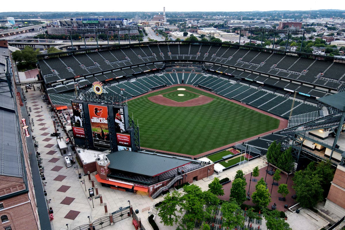 Motor City Ravens expands love of baseball