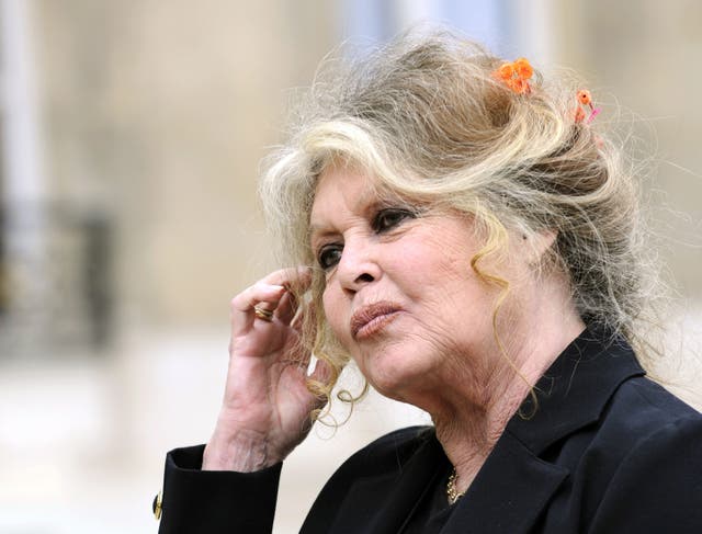 <p>Bardot in 2007</p>