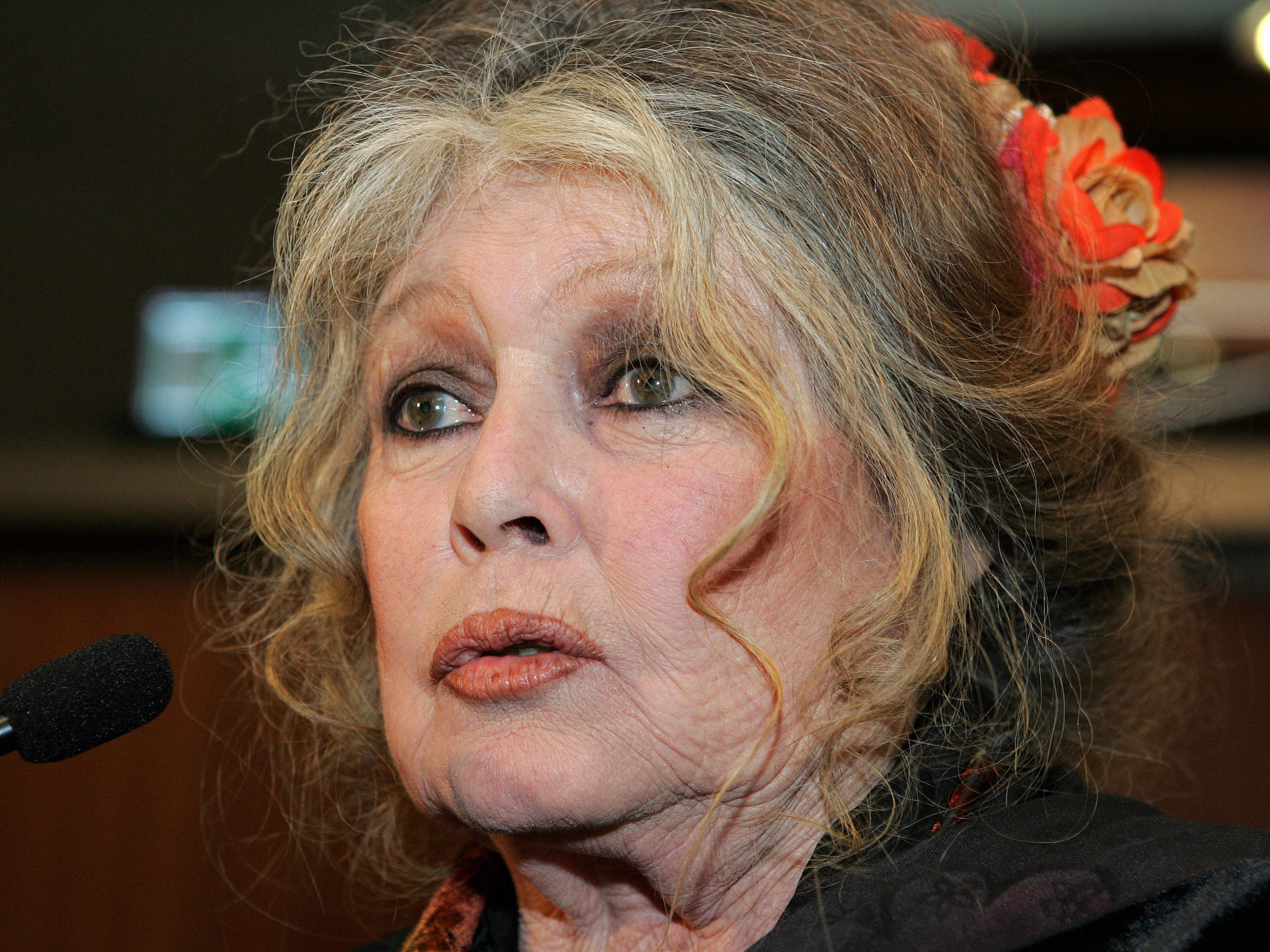 Brigitte Bardot ‘recovering After Emergency Services Treat Actor At